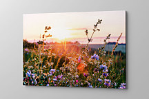 Obraz Na zelenej lúke 1879